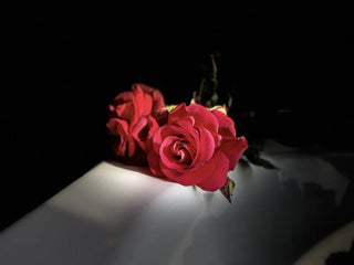 💕 Amour Amour – Loveroom